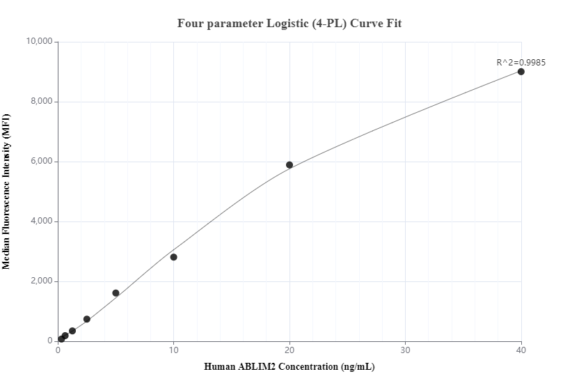 Cytometric bead array standard curve of MP01092-1, ABLIM2 Recombinant Matched Antibody Pair, PBS Only. Capture antibody: 84177-2-PBS. Detection antibody: 84177-1-PBS. Standard: Ag18198. Range: 0.313-40 ng/mL.  